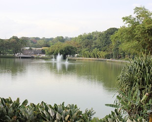 lake garden (2)