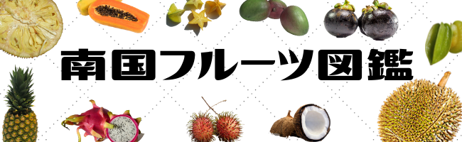 南国フルーツ図鑑
